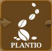 Plantio