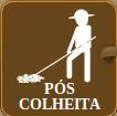 Pós colheita