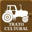 Trato cultural